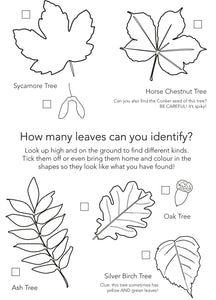 Free Autumn Activity Page - Identifying Leaves