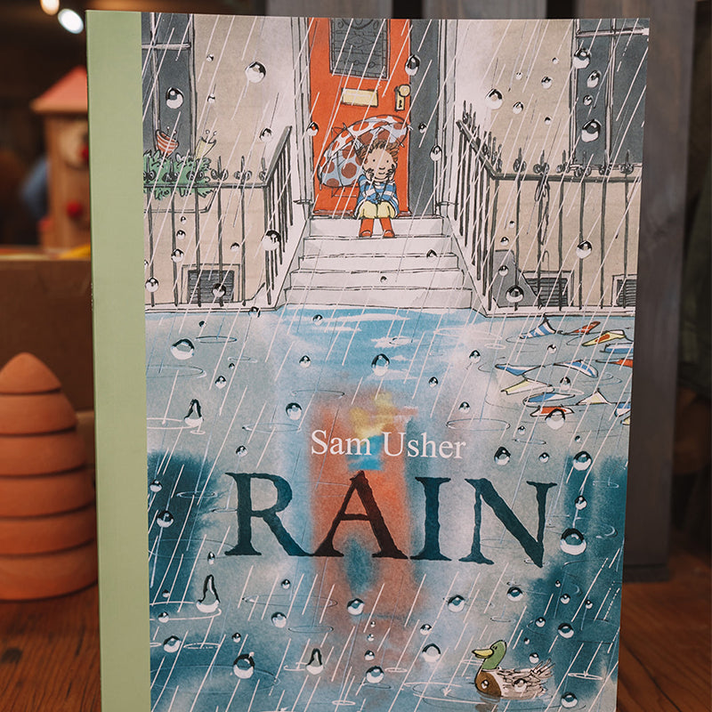 Book of the Week: Rain - Sam Usher