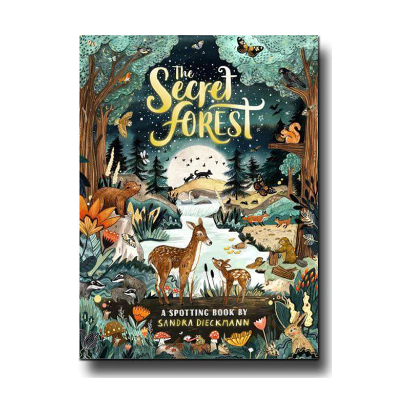 Book of the Week: The Secret Forest - Sandra Dieckmann