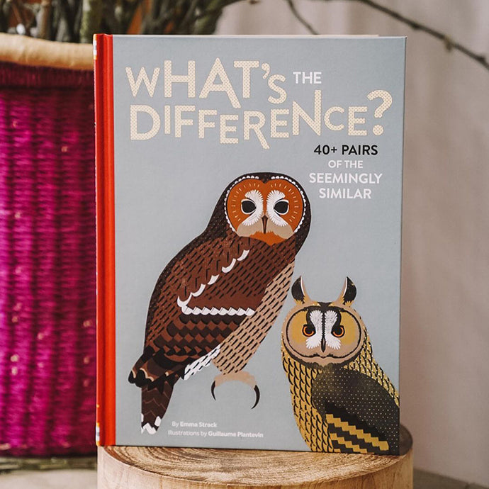 Book of the Week: What's the Difference - Emma Strack/Guillaume Plantevin