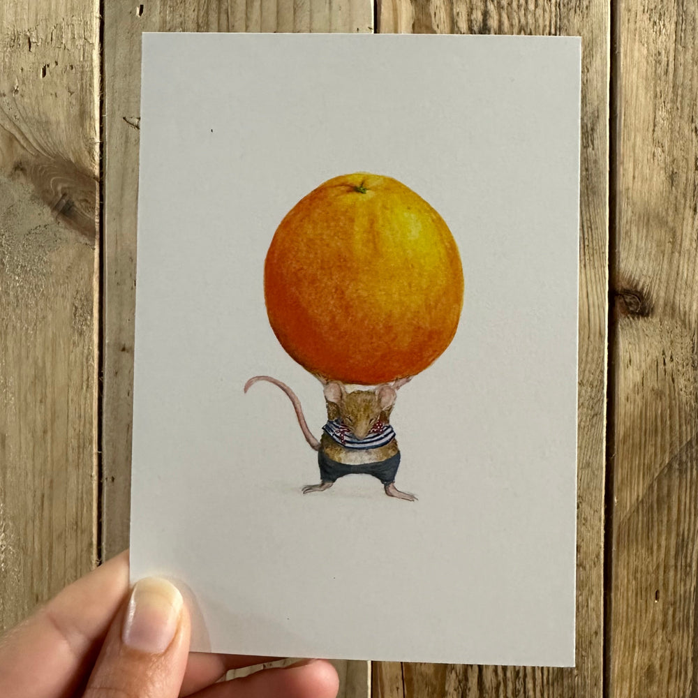 Mhairi Hellbrandt Orange Mouse Postcard