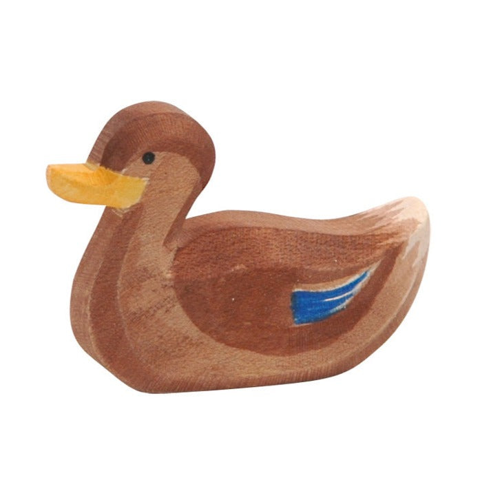 Ostheimer Swimming Duck