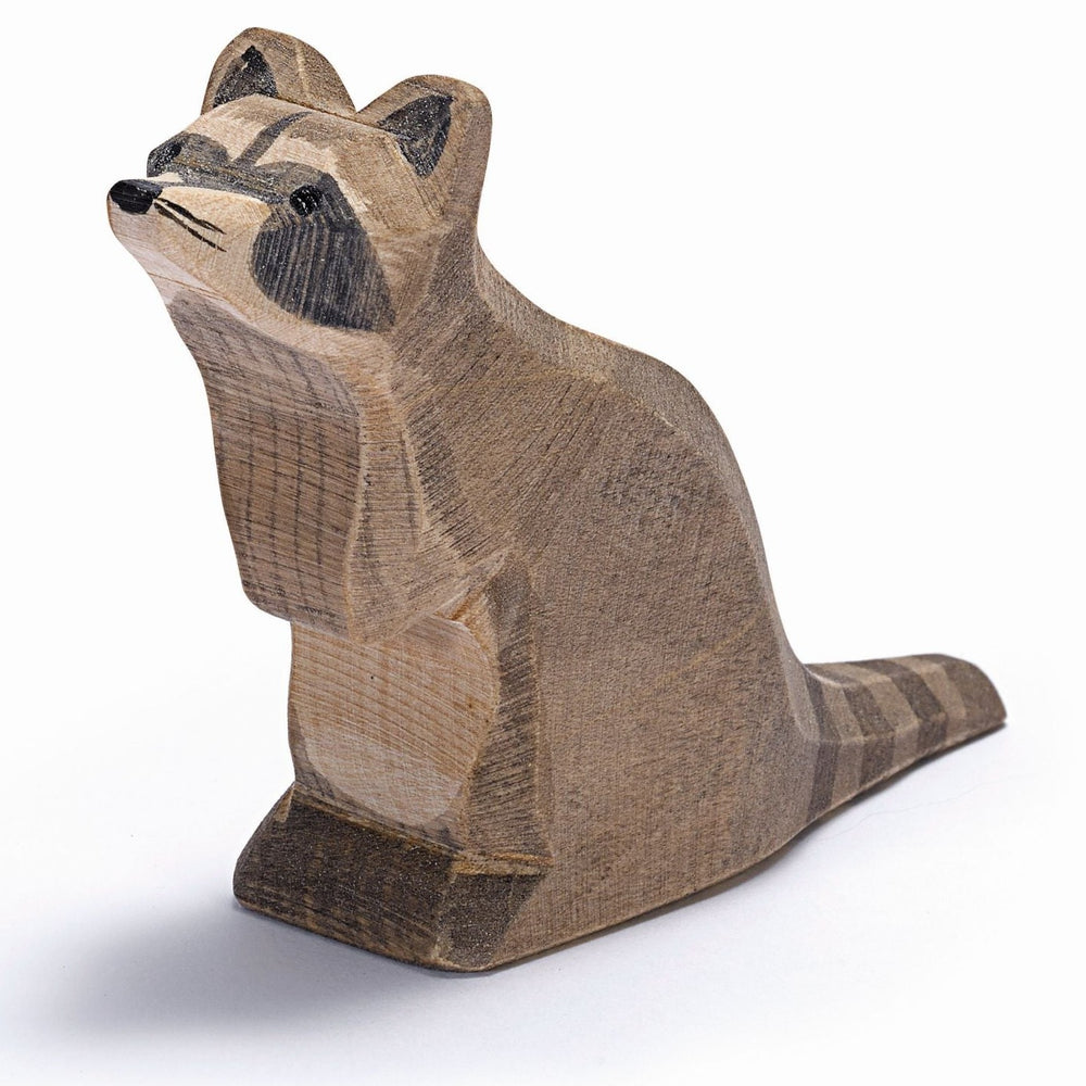 Ostheimer Sitting Raccoon