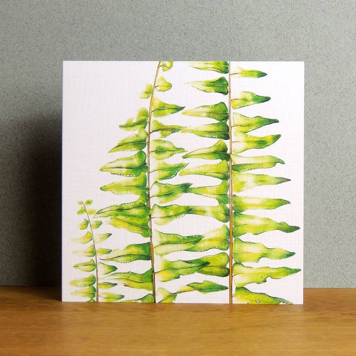 Kali Stileman Sword Fern Card