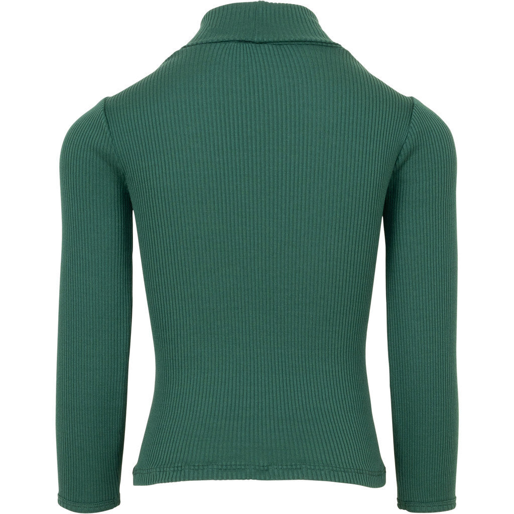 Minimalisma Bui Cotton/Silk Turtleneck - Emerald Green