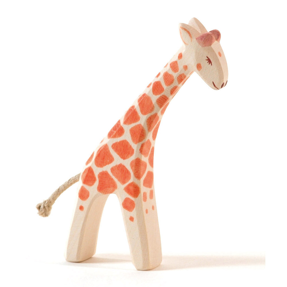 Ostheimer Small Giraffe, Head Low