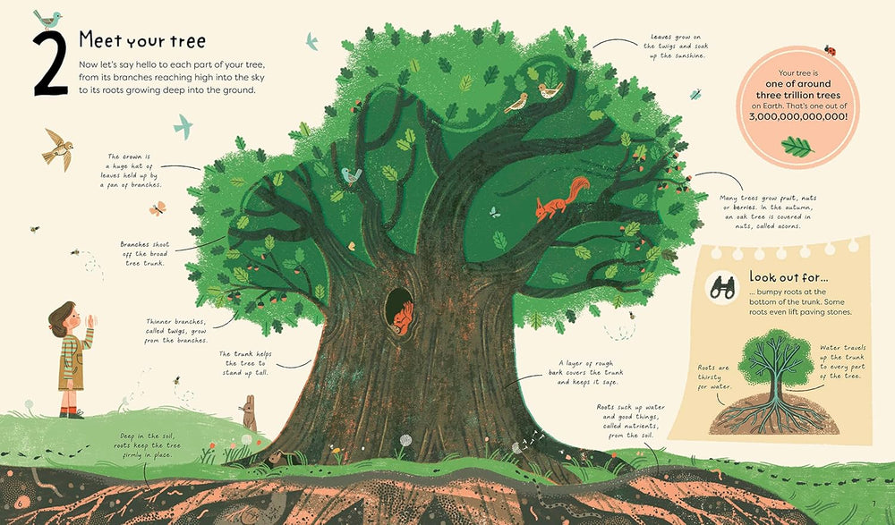 21 Things to Do With a Tree - Jane Wilsher 9780711280526