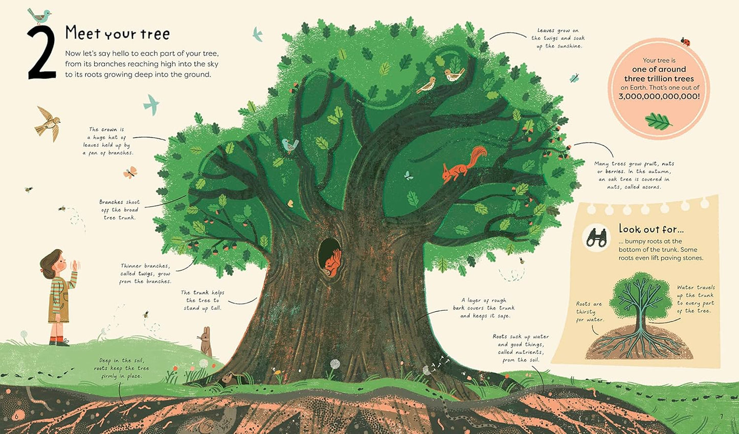 21 Things to Do With a Tree - Jane Wilsher 9780711280526