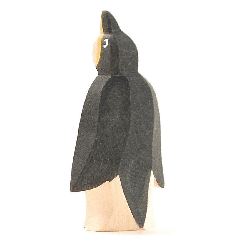 Ostheimer Penguin, From Front