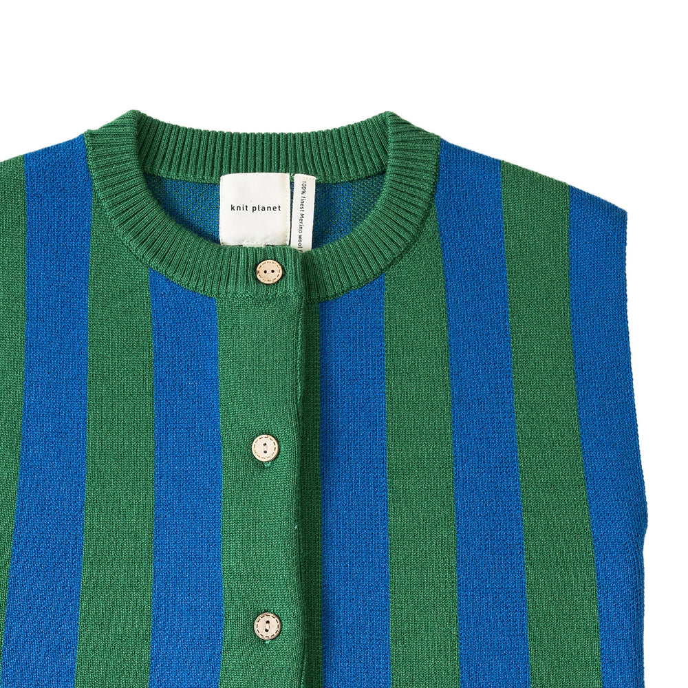 Knit Planet Stripe Knit Vest - Blue/Green