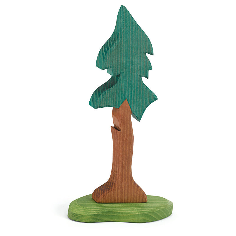 Ostheimer Spruce Tree With Trunk (with support)