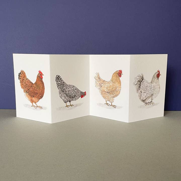 Brittany Davies Illustration Chicken Concertina Card