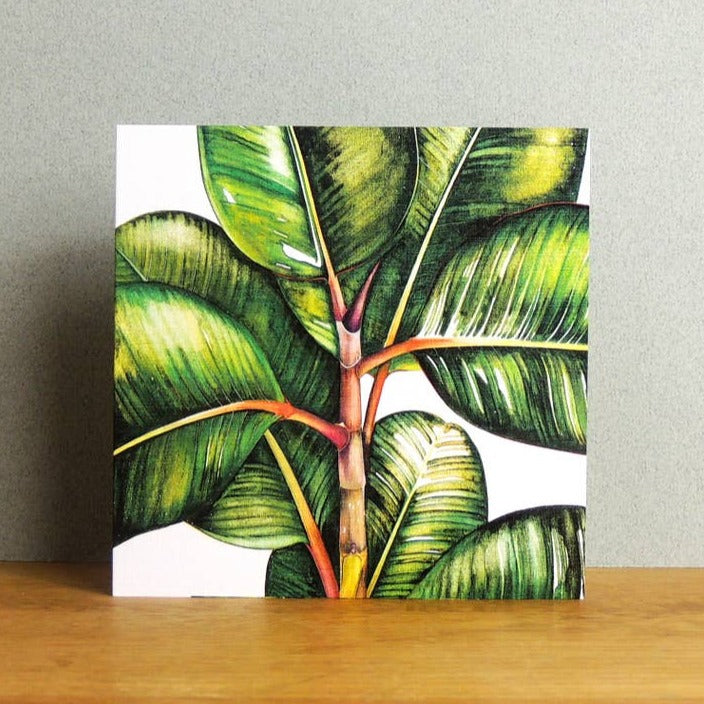 Kali Stileman Ficus Benghalesis Greetings Card