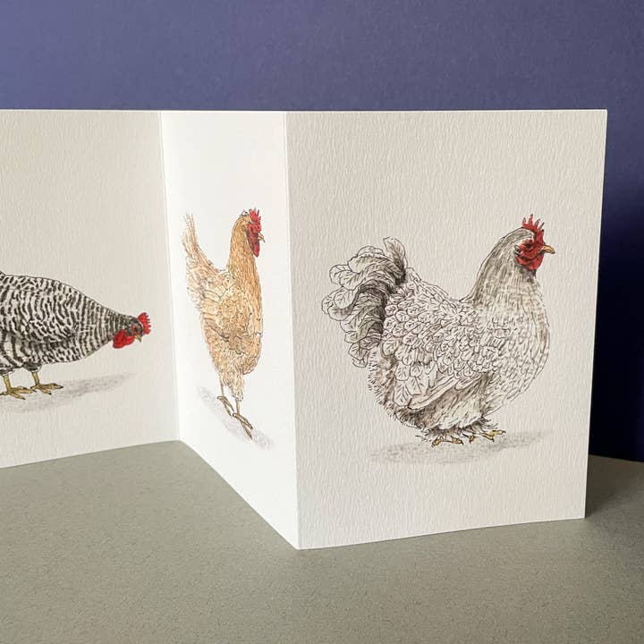Brittany Davies Illustration Chicken Concertina Card