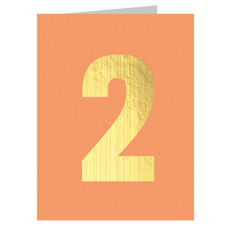 
                  
                    Kali Stileman Birthday Number Card 2
                  
                