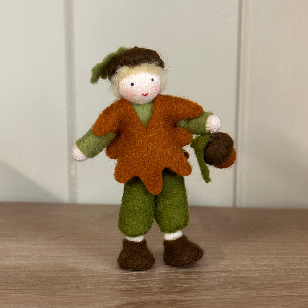 Ambrosius Acorn Boy