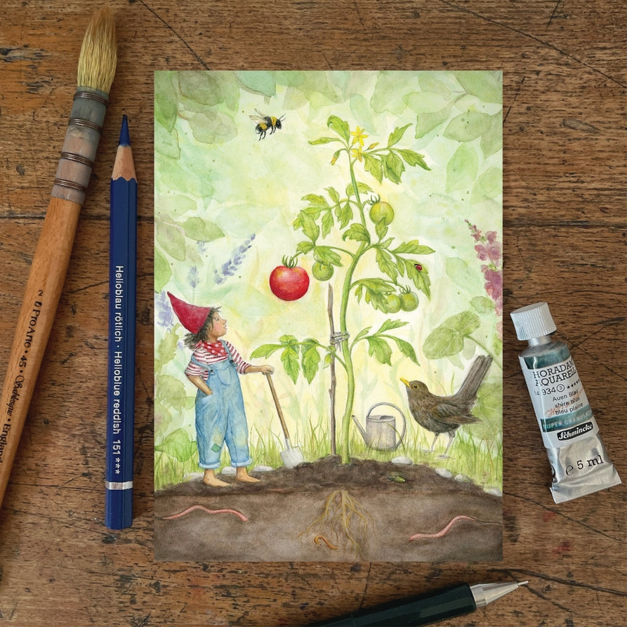 Mhairi Hellbrandt The First Ripe Tomato Postcard