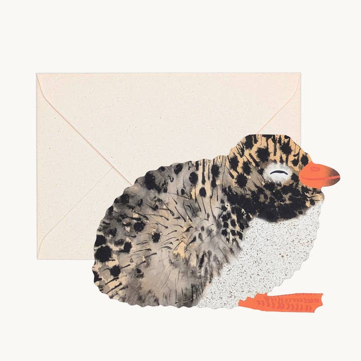 Hadley Paper Goods Arctic Tern Chick Greeting Card