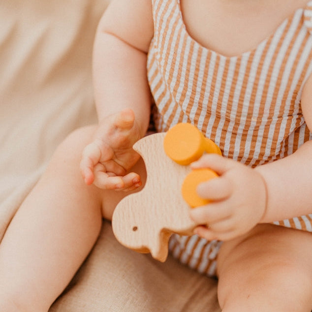 
                  
                    SABO Concept Rolling Duck / Yellow Wheels
                  
                