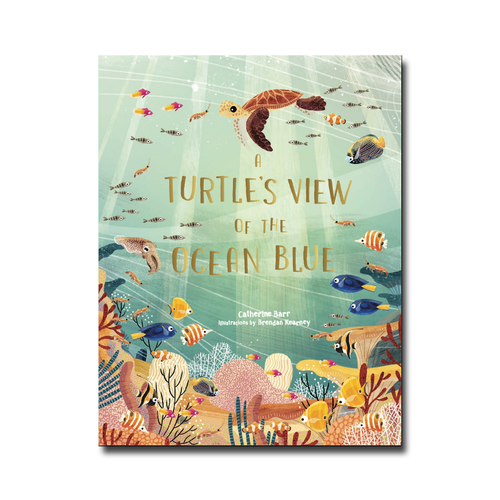 A Turtle's View of the Ocean Blue - Catherine Barr, Brendan Kearney