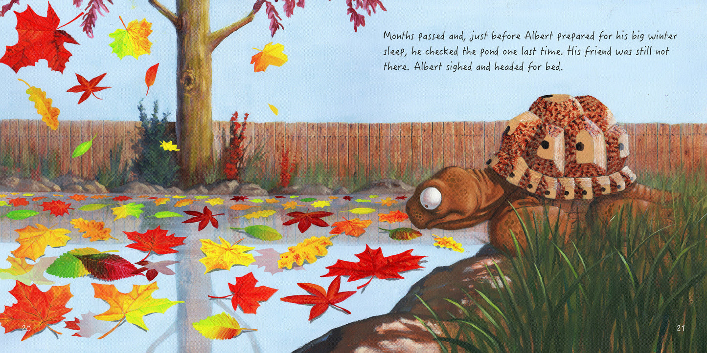 Graffeg Books Albert and the Pond - Ian Brown, Eoin Clarke