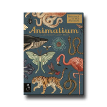 Templar Publishing Animalium - Jenny Broom/Katie Scott