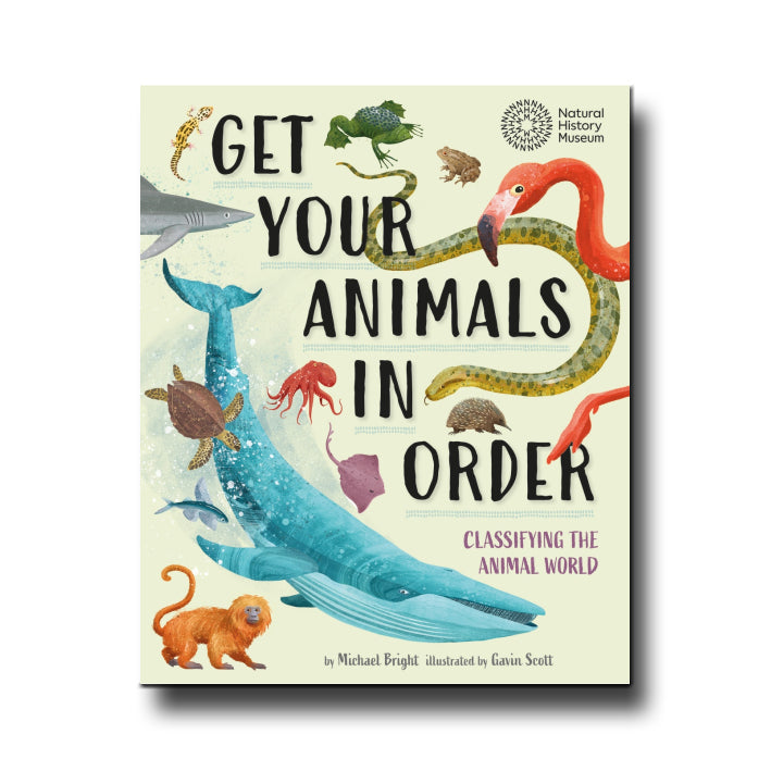 Hachette Get Your Animals in Order: Classifying the Animal World - Michael Bright