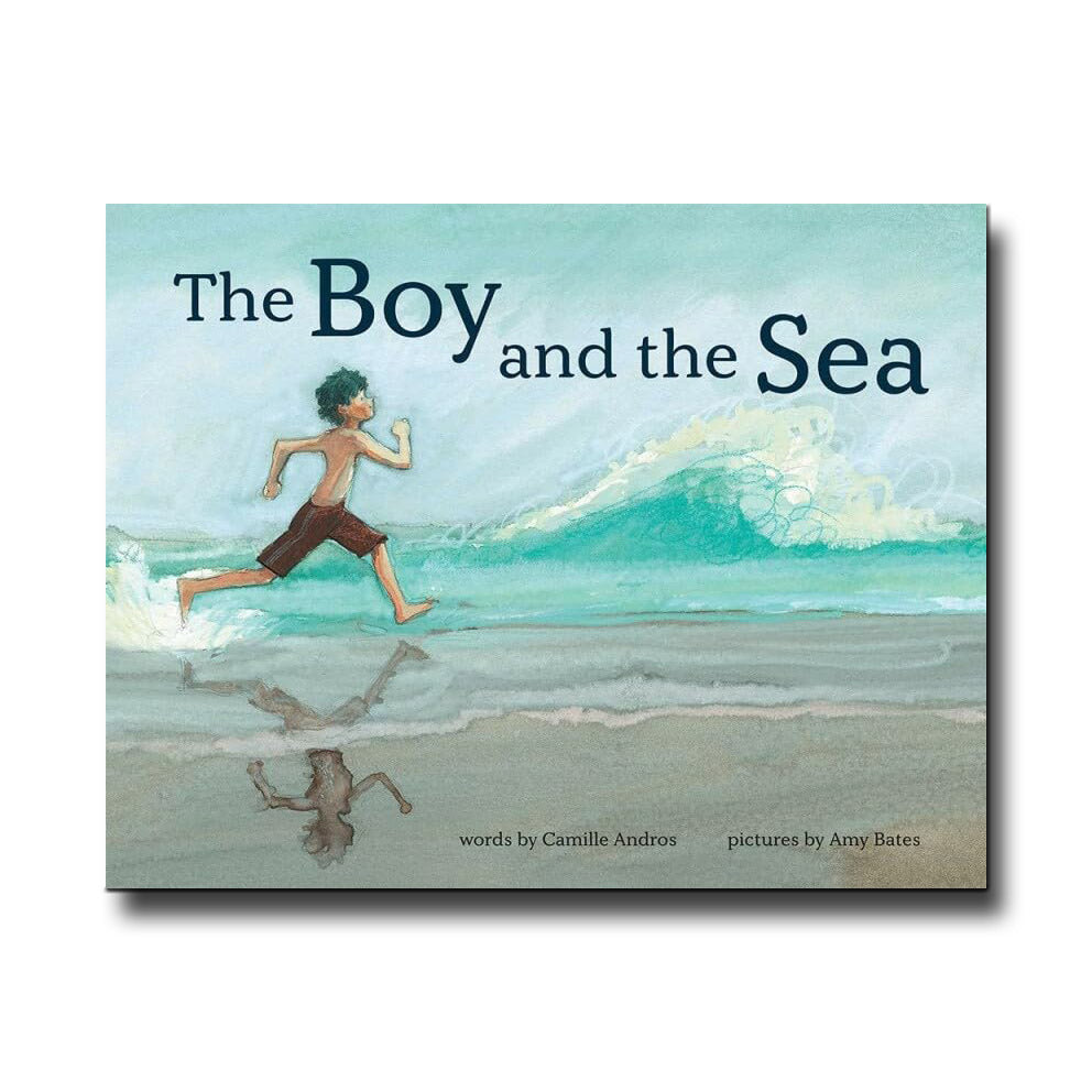 Abrams the Art of Books The Boy and the Sea - Camille Andros, Amy June Bates