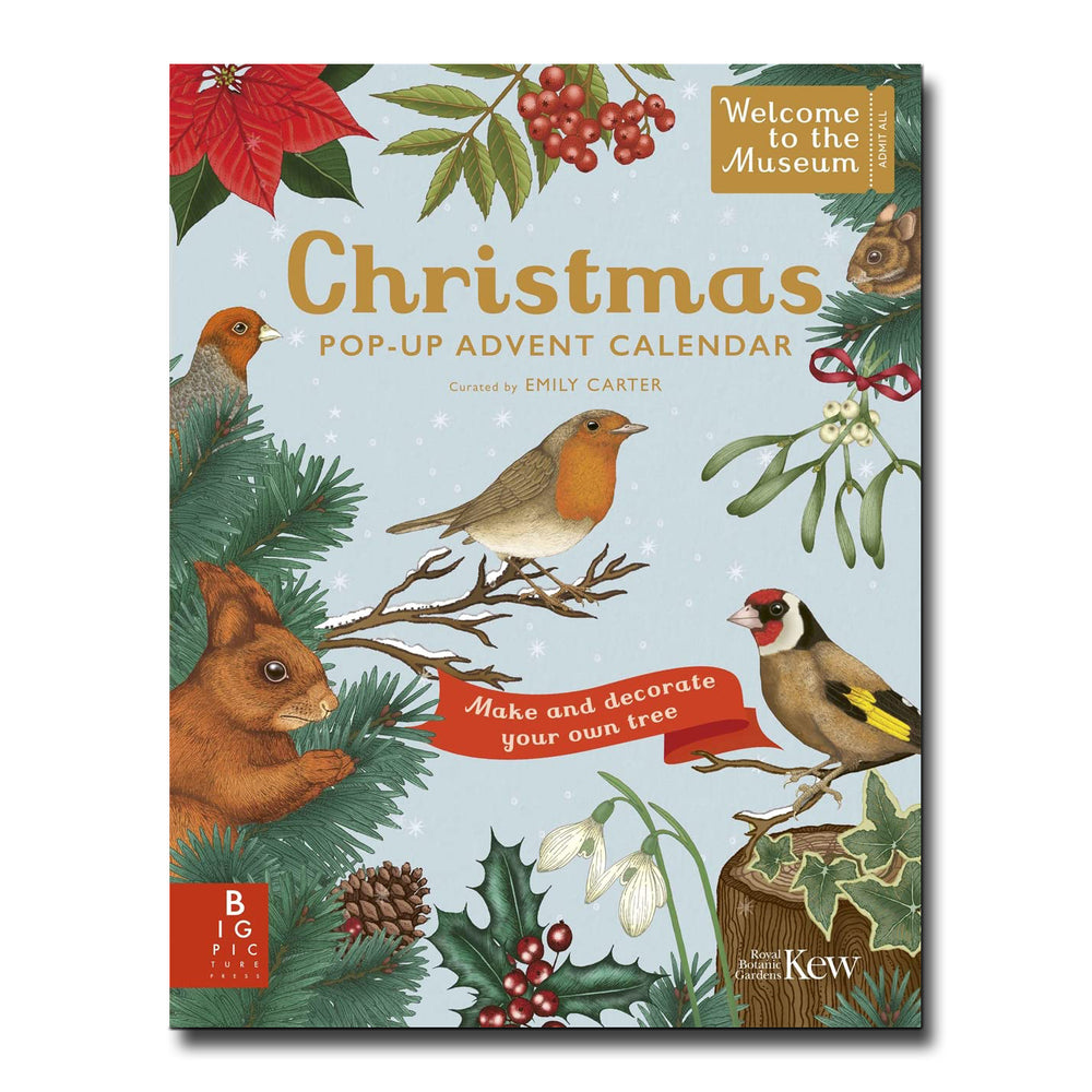 Welcome to the Museum: A Christmas Pop-Up Advent Calendar - Emily Carter