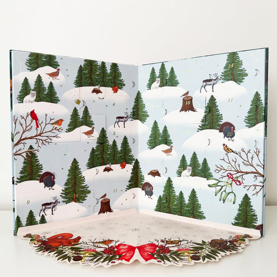 Welcome to the Museum: A Christmas Pop-Up Advent Calendar - Emily Carter