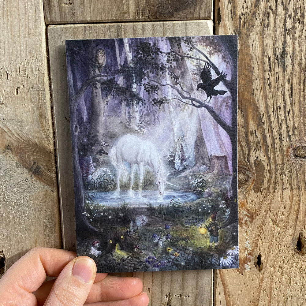 Mhairi Hellbrandt Midnight Forest Postcard