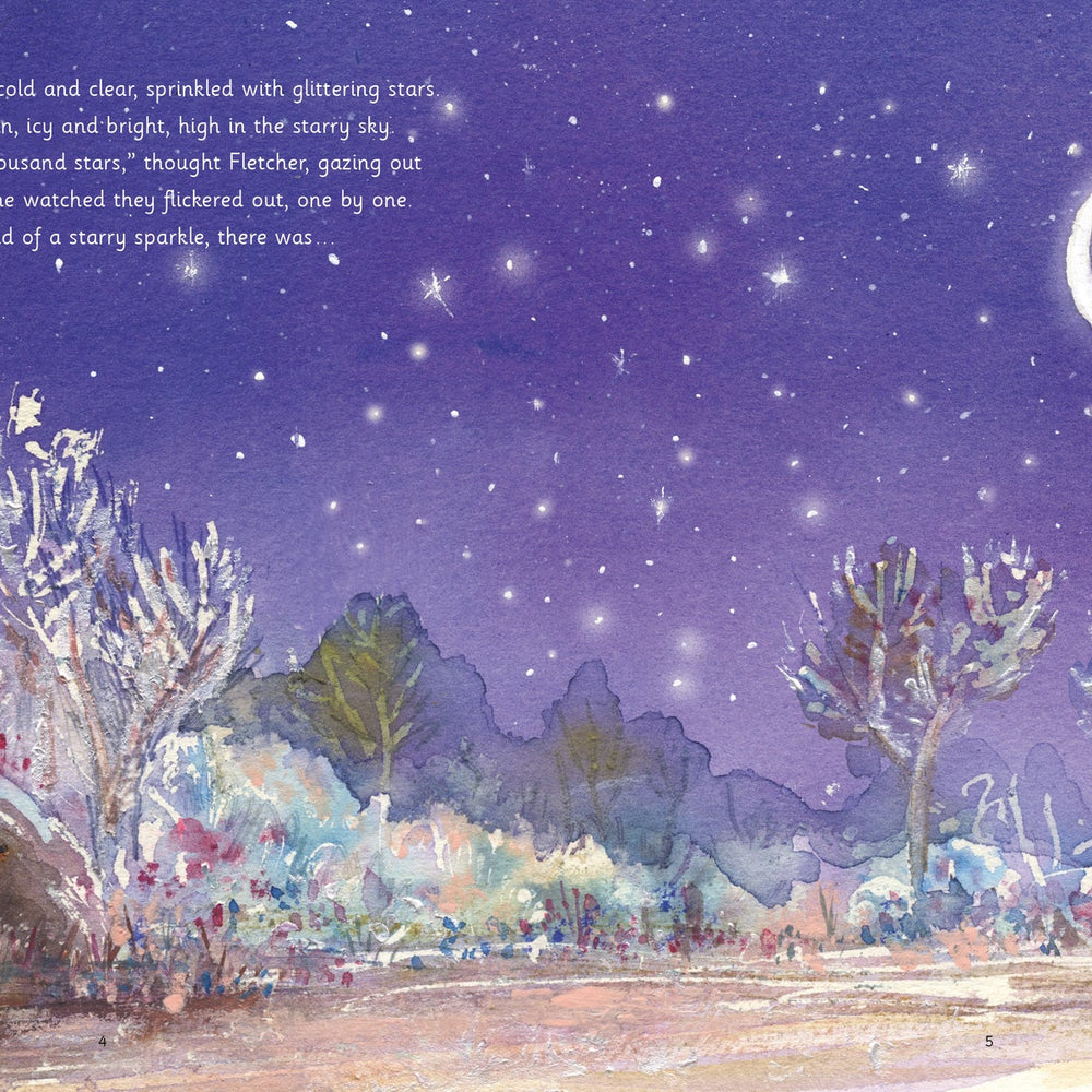 
                  
                    Graffeg Books Fletcher and the Stars - Julia Rawlinson, Tiphanie Beeke
                  
                