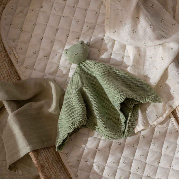 Avery Row Cuddle Cloth - Frog
