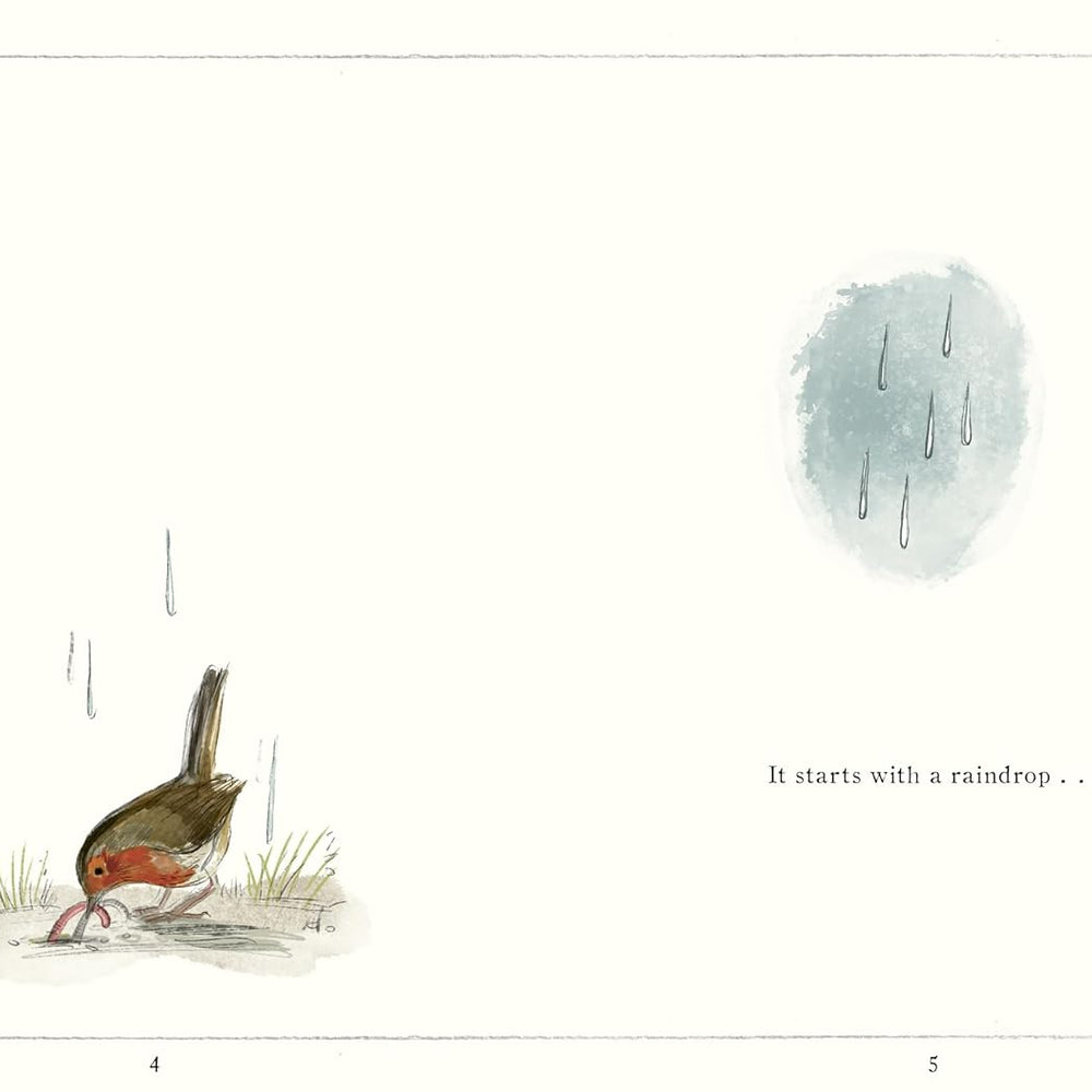 It Starts with a Raindrop - Aimee Gallagher 9780711285934