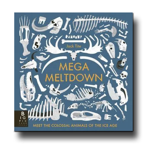 Big Picture Press Mega Meltdown - Jack Tite