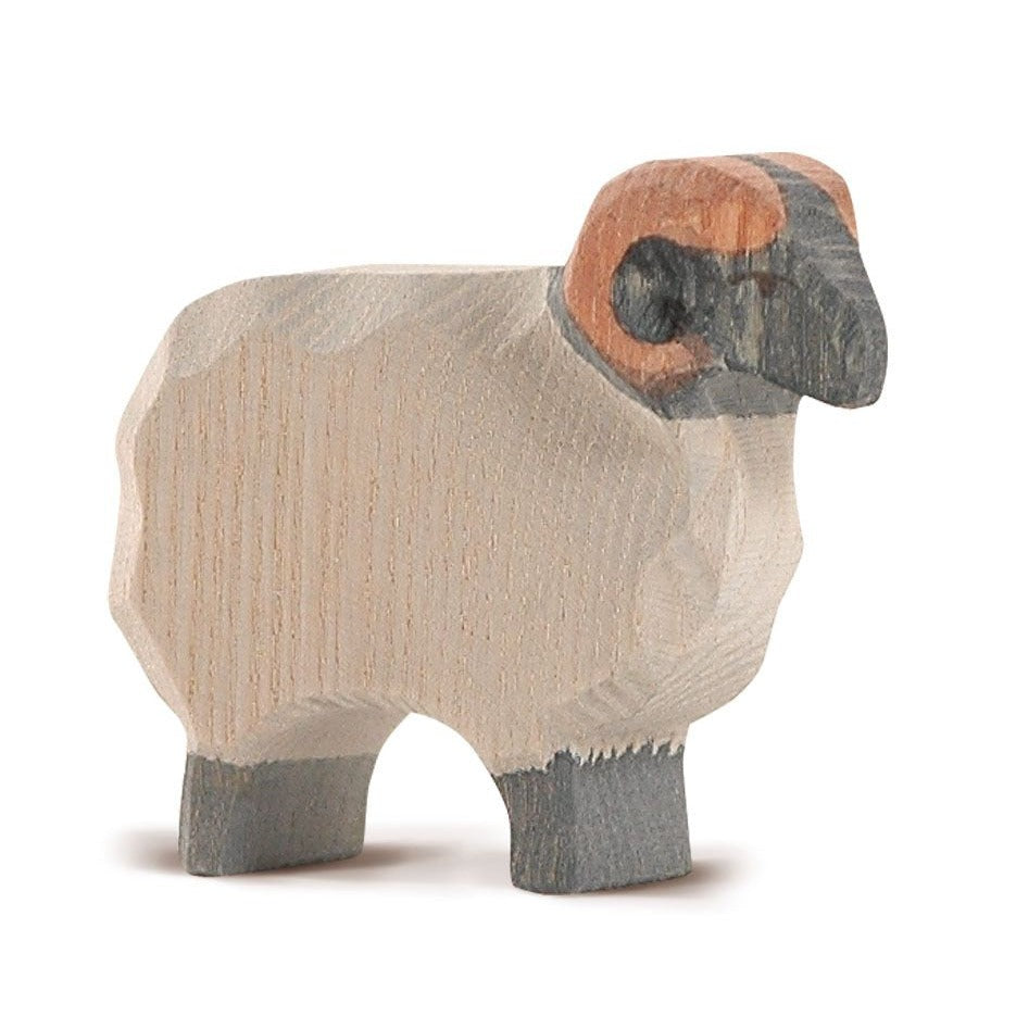 Ostheimer Moorland Ram