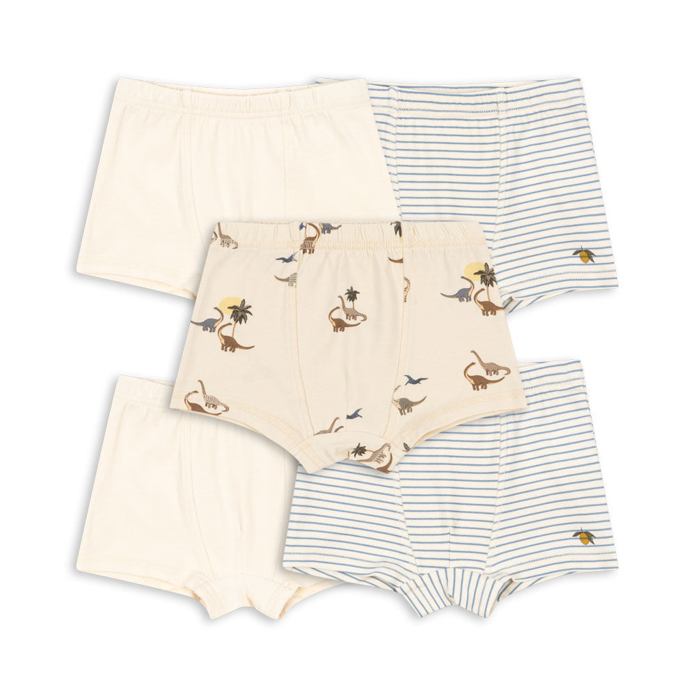Konges Sløjd Basic Boxers, 5 Pack - Boy Mix