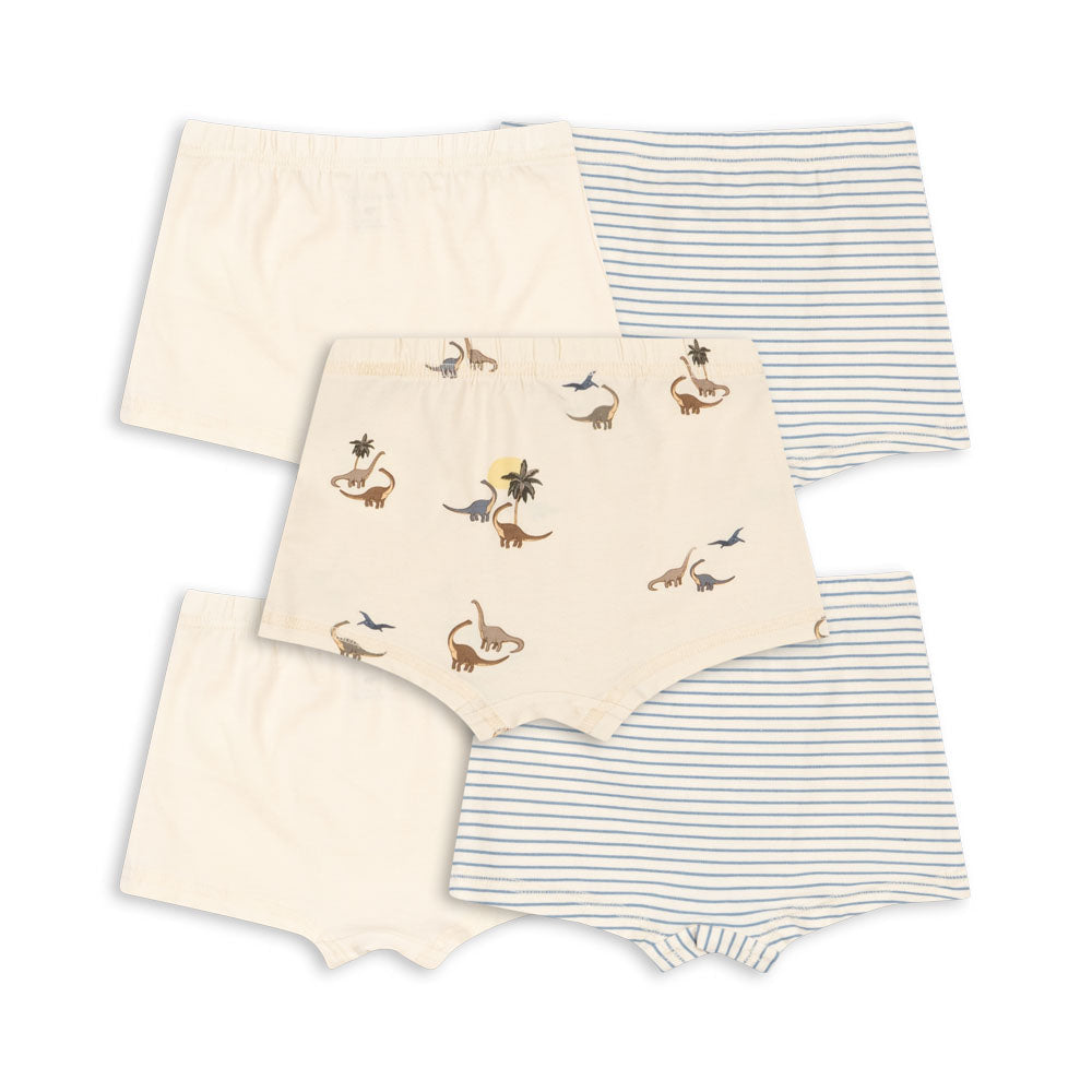 Konges Sløjd Basic Boxers, 5 Pack - Boy Mix