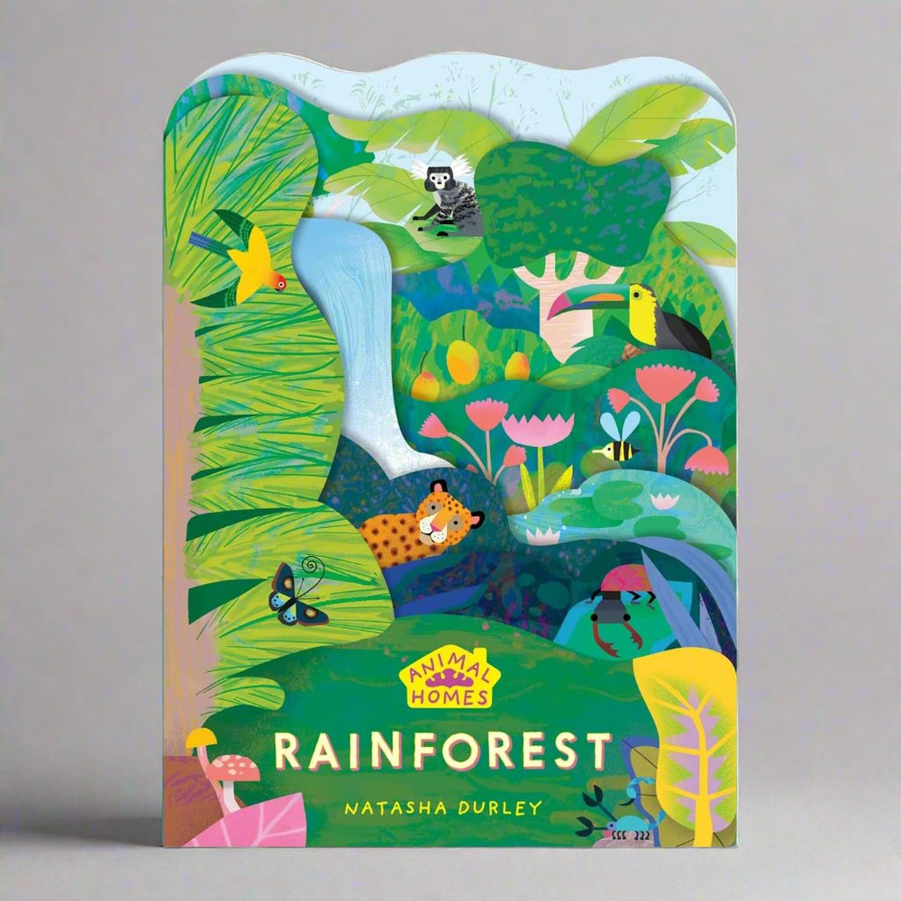 Templar Publishing Animal Homes: Rainforest - Natasha Durley