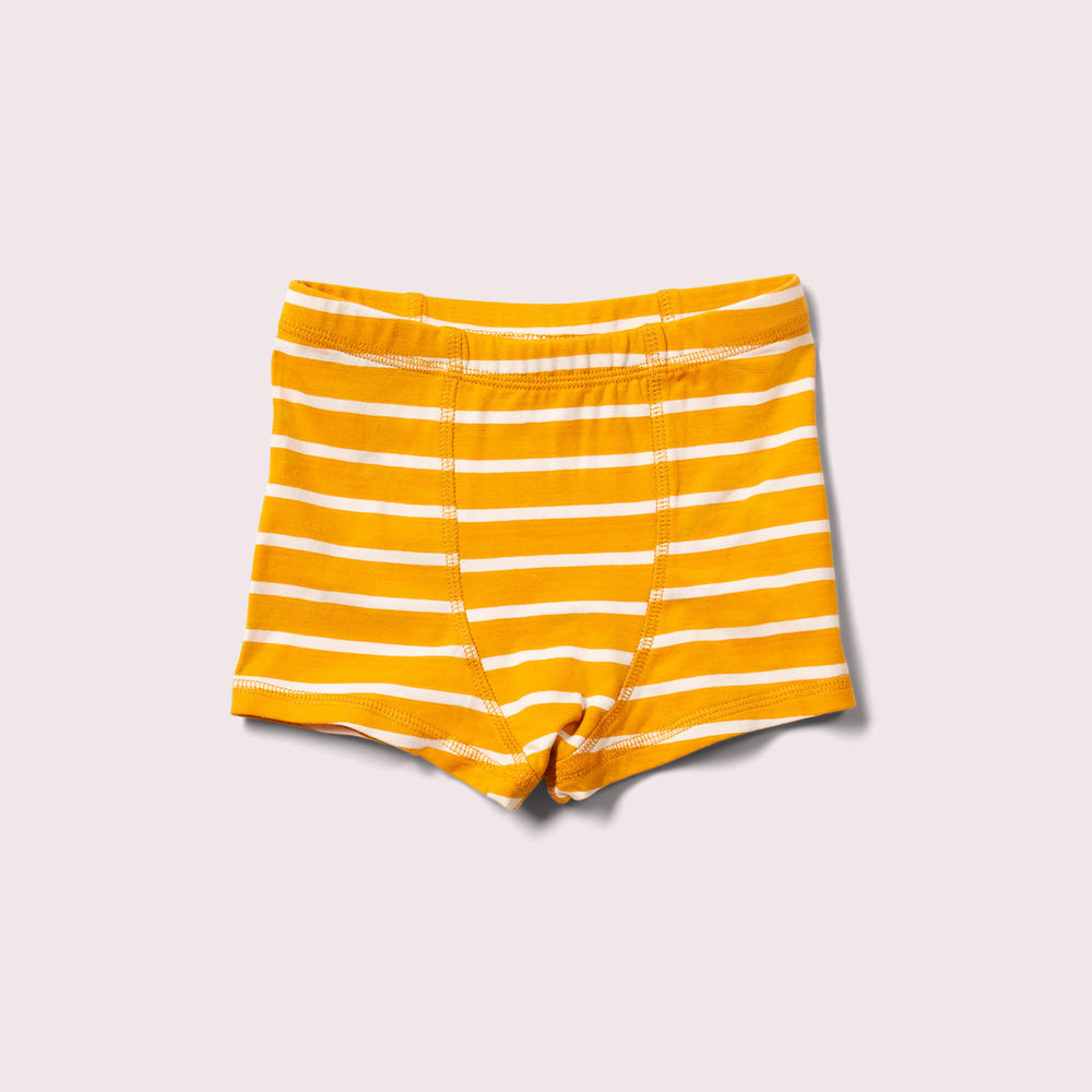 
                  
                    Little Green Radicals Organic Underwear Shorts 3 Pack - Blue Multi
                  
                