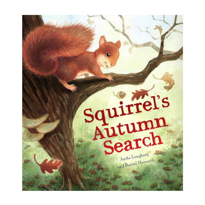 Words & Pictures Animal Seasons: Squirrel's Autumn Search - Anita Loughrey, Daniel Howarth