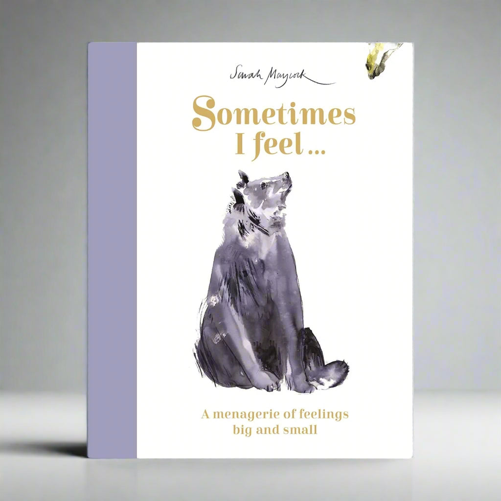 Sometimes I Feel (Mini Edition) - Sarah Maycock 9781800781283
