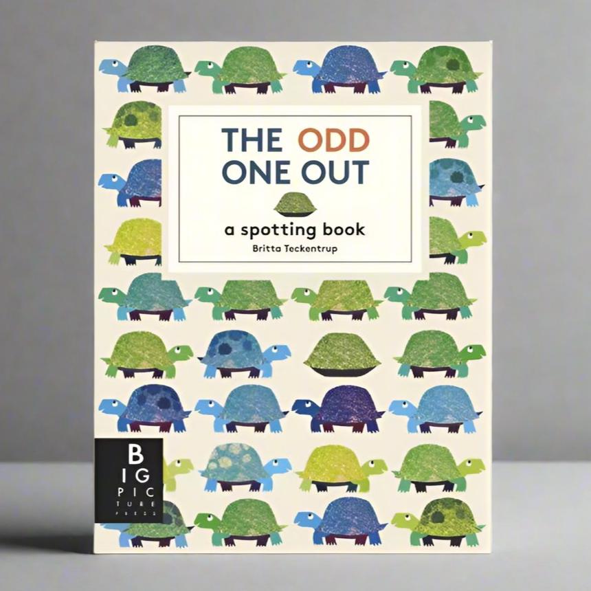 Big Picture Press The Odd One Out - Britta Teckentrup