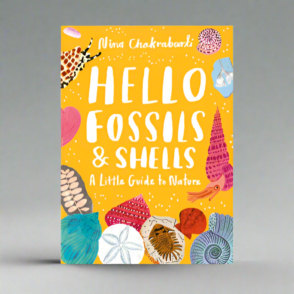 Laurence King Publishing Hello Fossils and Shells - Nina Chakrabarti