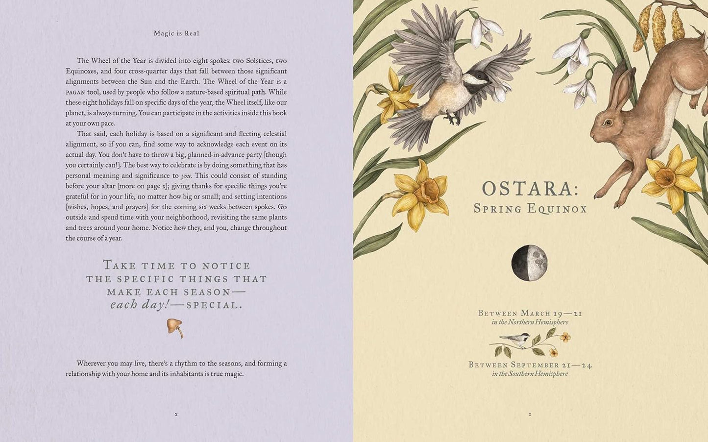 The Wheel of the Year: An Illustrated Guide to Nature's Rhythms 9781524874803