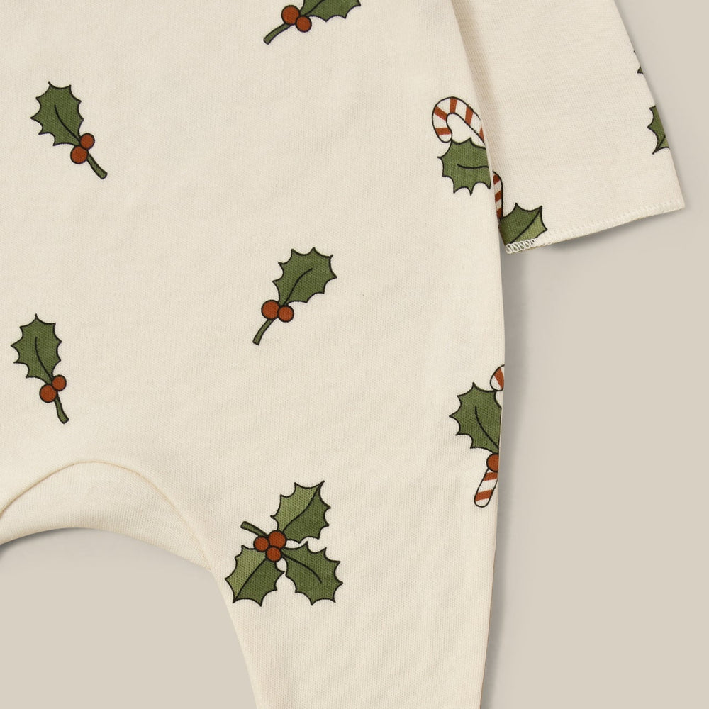 
                  
                    Organic Zoo Christmas Holly Romper Suit
                  
                