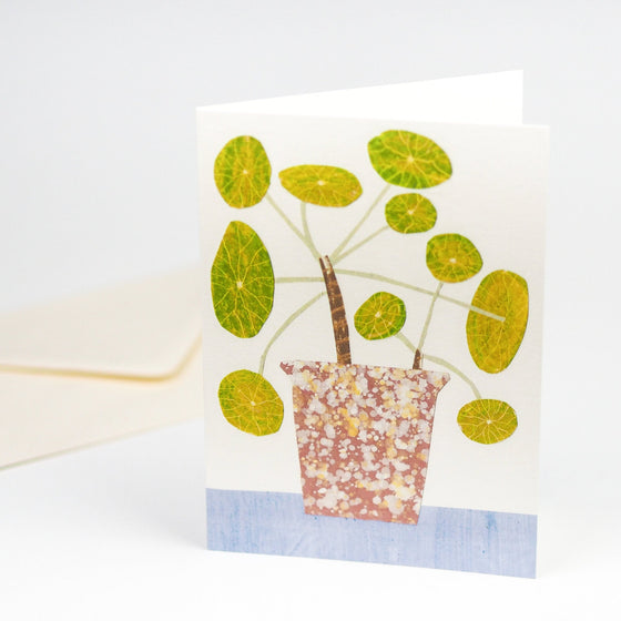 Hadley Paper Goods Pilea Pepermioides - Bobble Plant Card