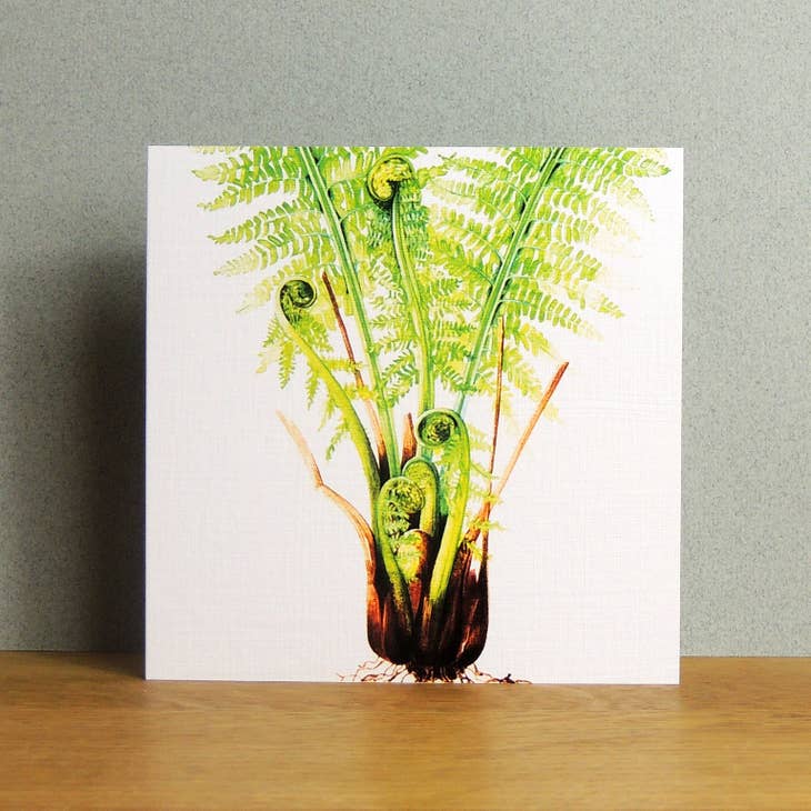 Kali Stileman Fern Card