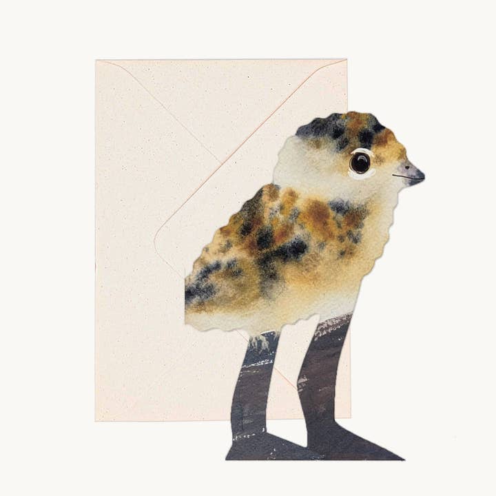 Hadley Paper Goods Lapwing Chick Greeting Card