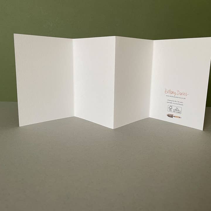 Brittany Davies Illustration Garden Tools Concertina Card